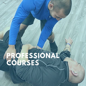 Professional Course